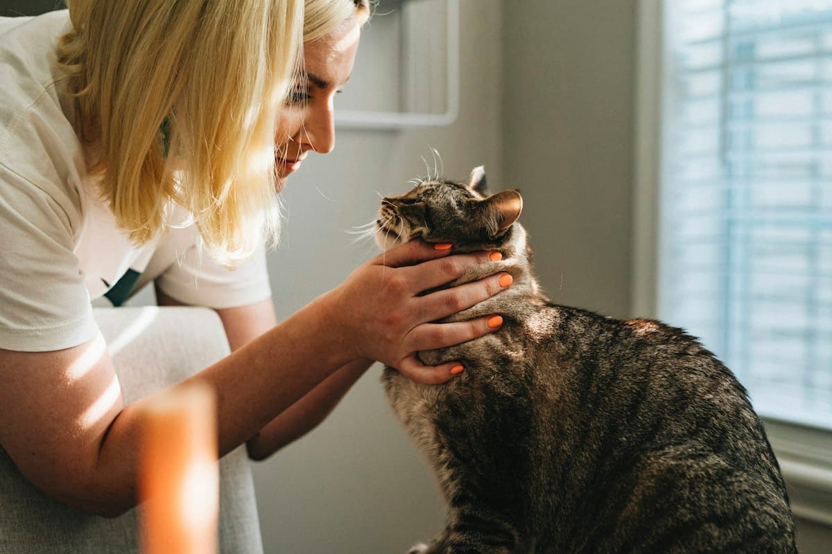 Kvinde aer en kat i et lyst rum